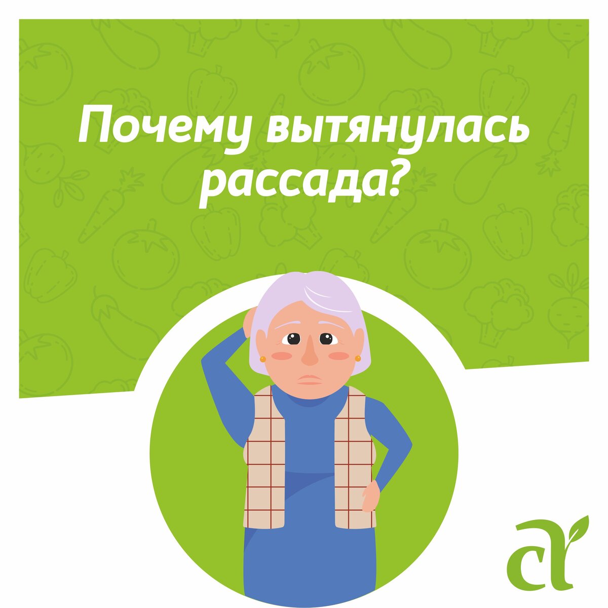 Знакомьтесь! Это Алексеевна.  Она – огородник, конечно, со стажем, но уж очень консервативна, многими дачными хитростями не пользуется, потому всегда имеет много вопросов.  «Почему рассада вытянулась?-2