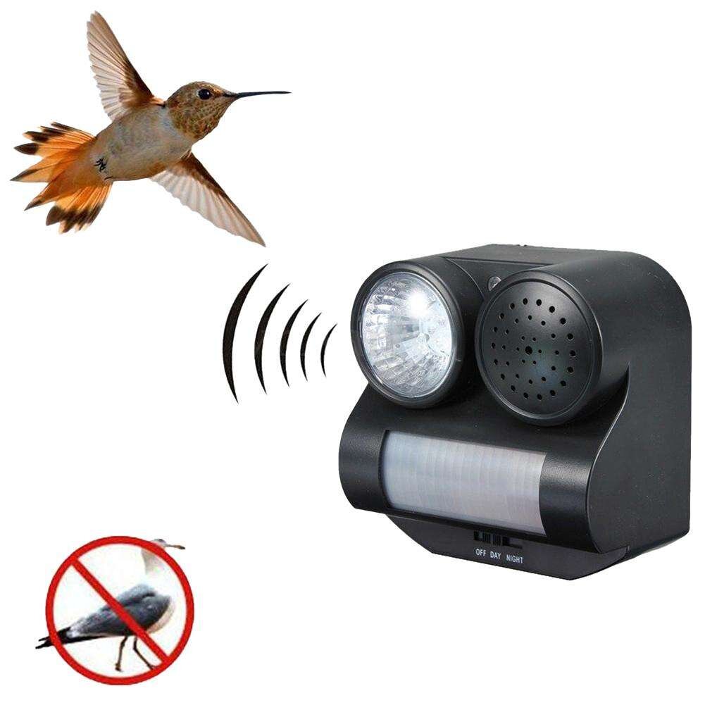 Включи звук отпугивающих. Отпугиватель птиц с датчиком движения. Отпугиватель птиц звуковой. Отпугиватель птиц 9000-10000 Hz.