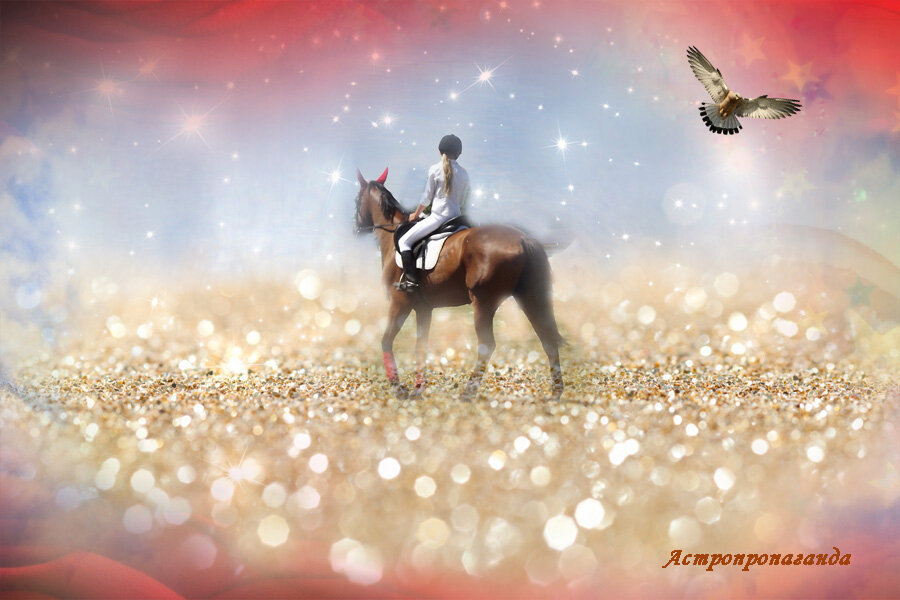 Коллаж Нины Стрелковой.