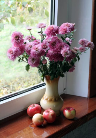 Хризантемы