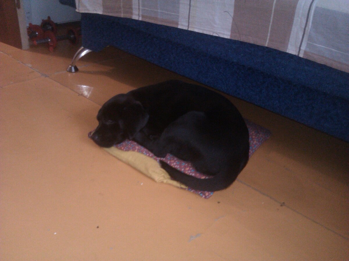 Сладкий сон нашей Лекси, первый день дома.