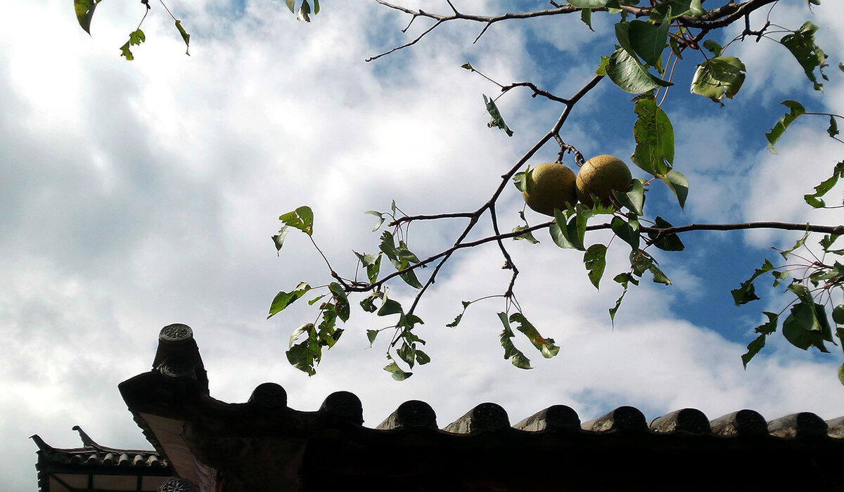 Дневник жизни дзен храма "У Вэй " (Китай)