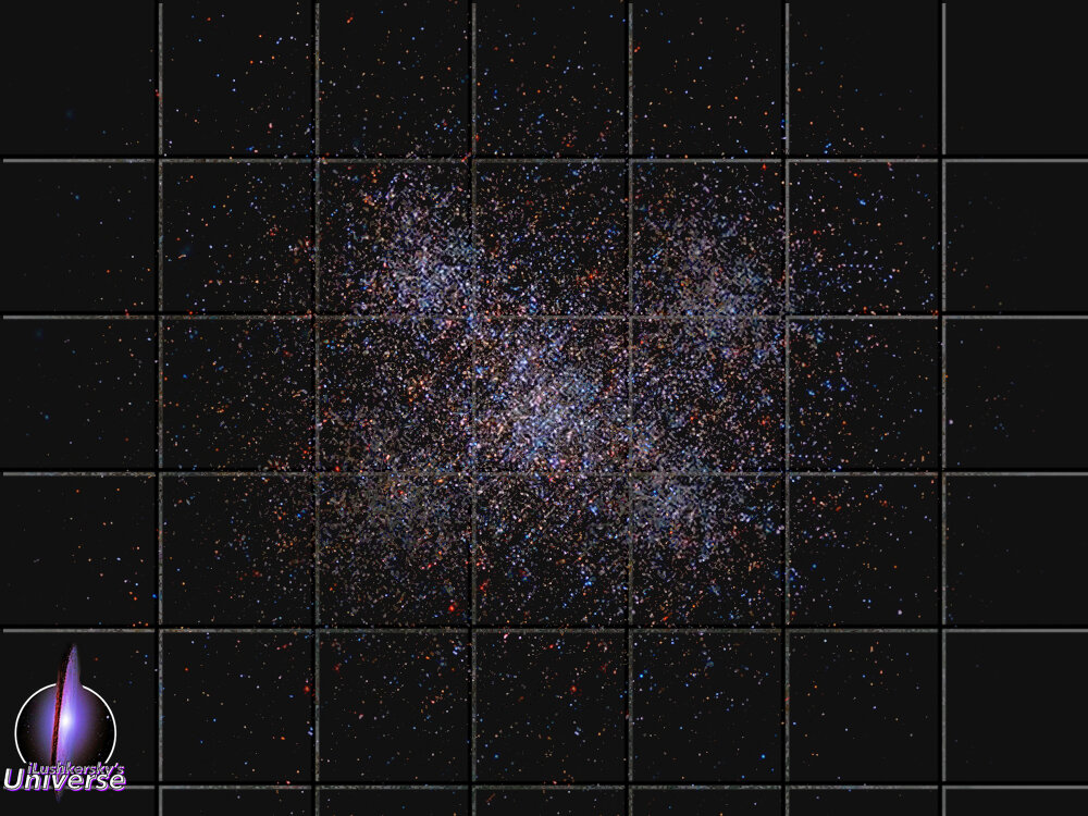 ©Seldony iLushkersky