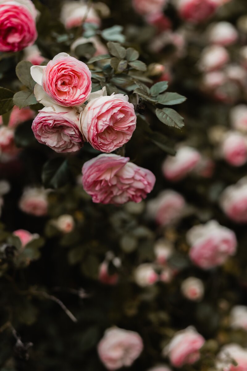 Https://unsplash.com/photos/m62CMGjYAFs