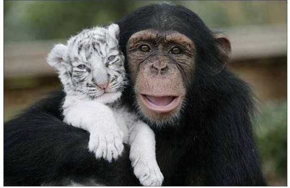 источник   http://www.like-a.ru/?p=4486