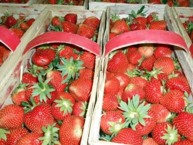 Источник фото: koblt.customs.ru - Пресс-служба Калининградской областной таможни