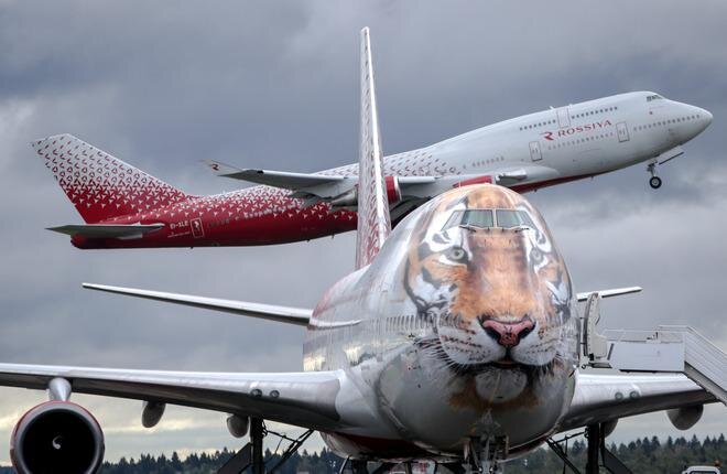 Boeing 747 а/к "Россия" в тигриной раскраске.