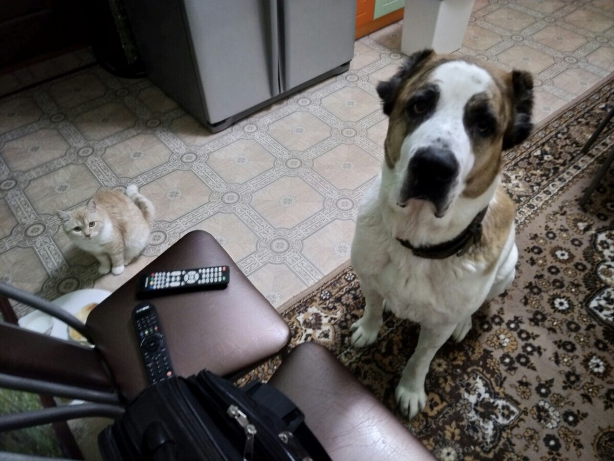 тут Лэндер уже взрослый, конечно.