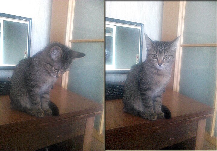 Маленькая милота)