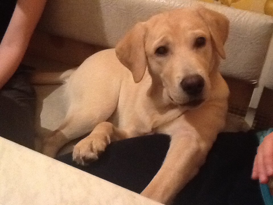 Джоли в детстве!) 