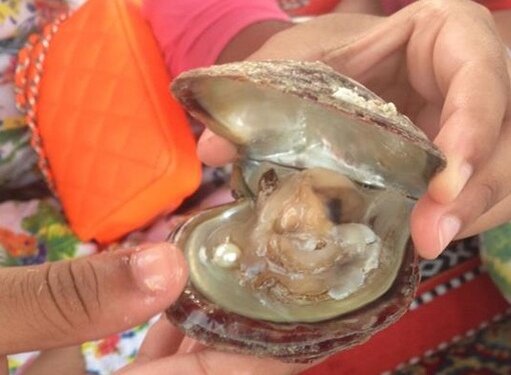 Ловец жемчуга