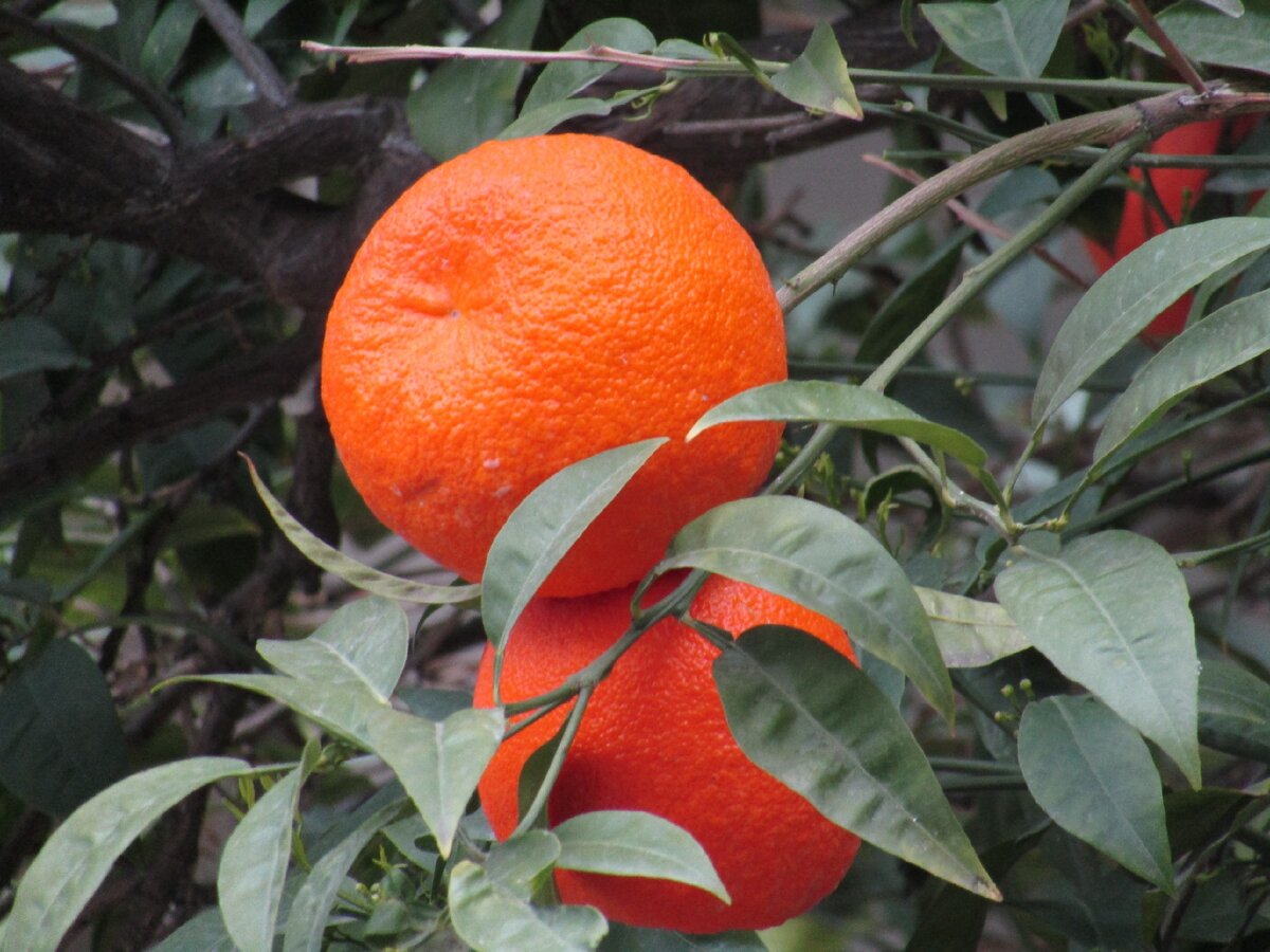 Афины, февраль 2019 г.