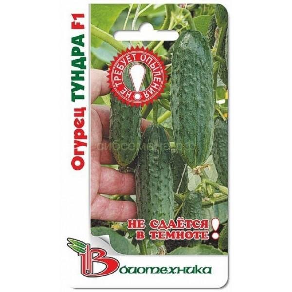 Тундра F1. Гибрид с суровым названием успешно выращивают при сочетании низких температур и малого количества солнечного света. Кусты при этом полноценно цветут и формируют плоды. Партенокарпик, опыления не требует. Огурцы с плотной кожей и сочной мякотью. Размер – 6-8 сантиметров, в узлах – 3-4 огурца. Гибрид выведен для выращивания в северных регионах, завязывает плоды вплоть до заморозков.Ссылка на изображение: https://moefermerstvo.ru/wp-content/uploads/2019/02/data-semena-paketirovannie-semena-044828-600x600.jpg