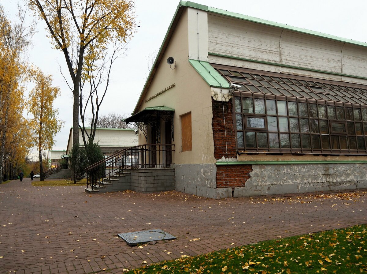 Оранжереи в Царицыно были сооружены в начале XIX в., но к концу века они были разрушены или разобраны, участок застроили дачами. Современные оранжерейные здания были построены в 2008 г. в ходе реконструкции.