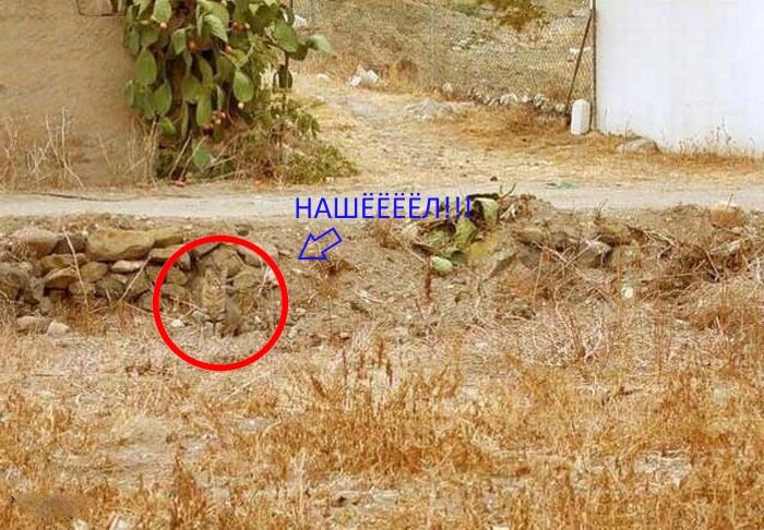 Фото взято из открытого источника...