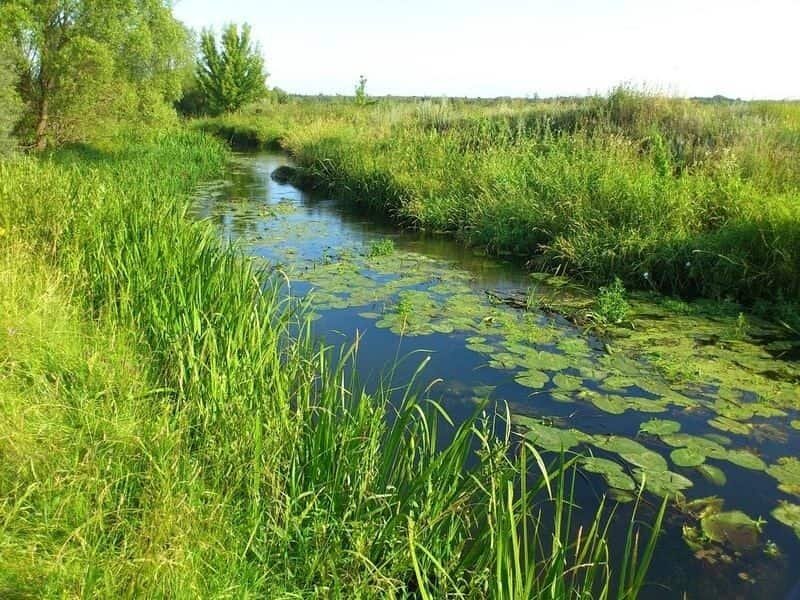 Высокое водохранилище курская область фото