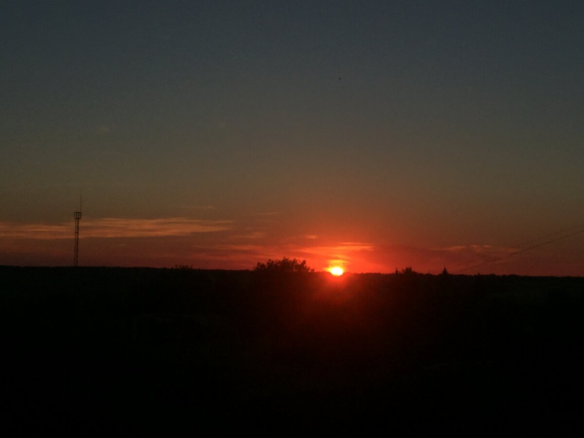 Чернь