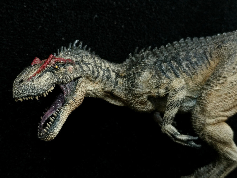 Источник: яндекс фото.