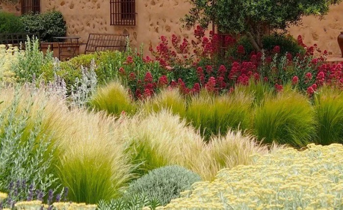 Разнообразие расцветок