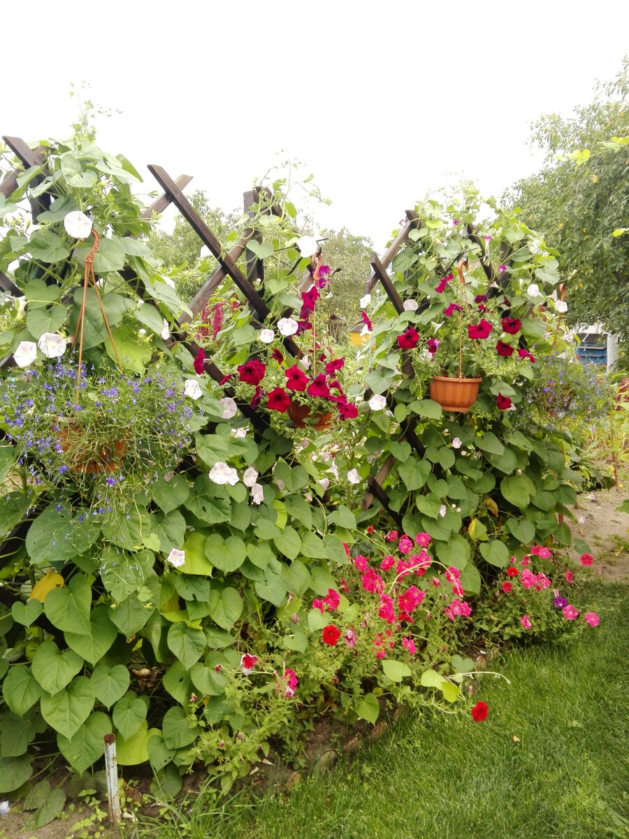 Украшение сада и огорода (60 фото)