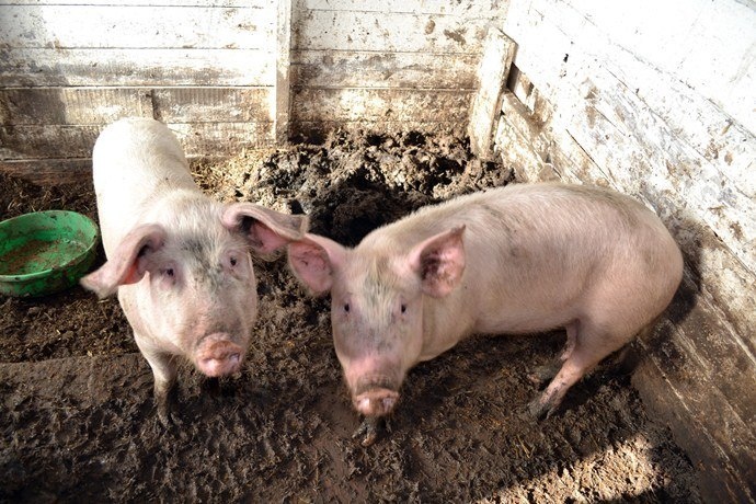 Запах от этого незабываемый и несмываемый))