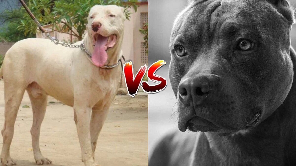 Источник: Google картинки: YouTube канал ТОПы