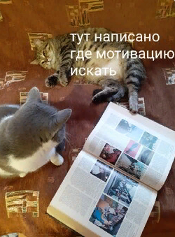Котофею мотивация до лампочки, его плюшки в рот как вареники летят)))