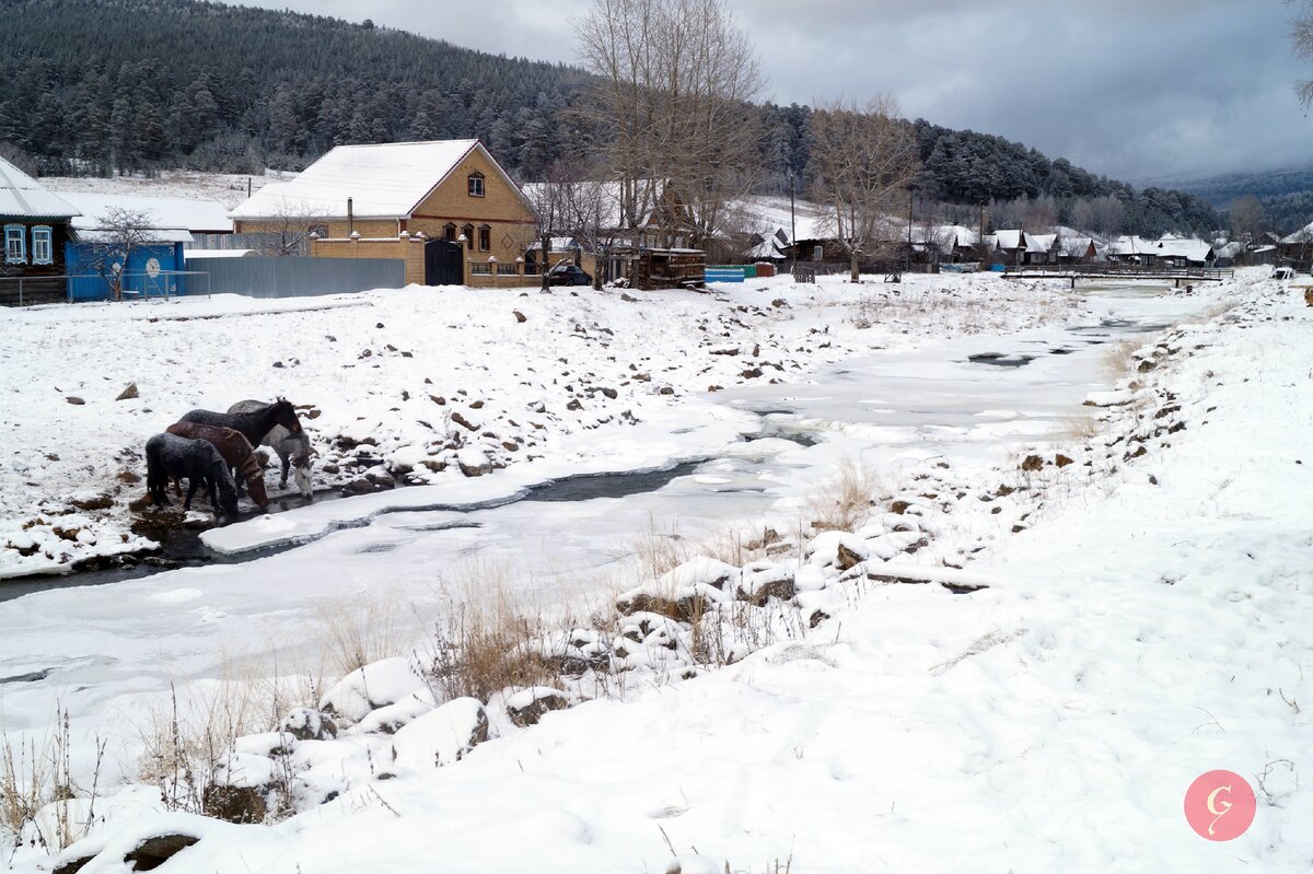 горная река Тюлюк