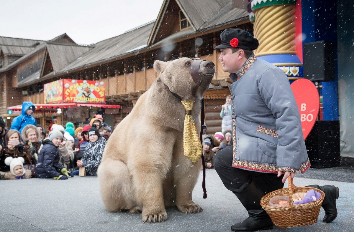 Сценарий масленицы с медведем