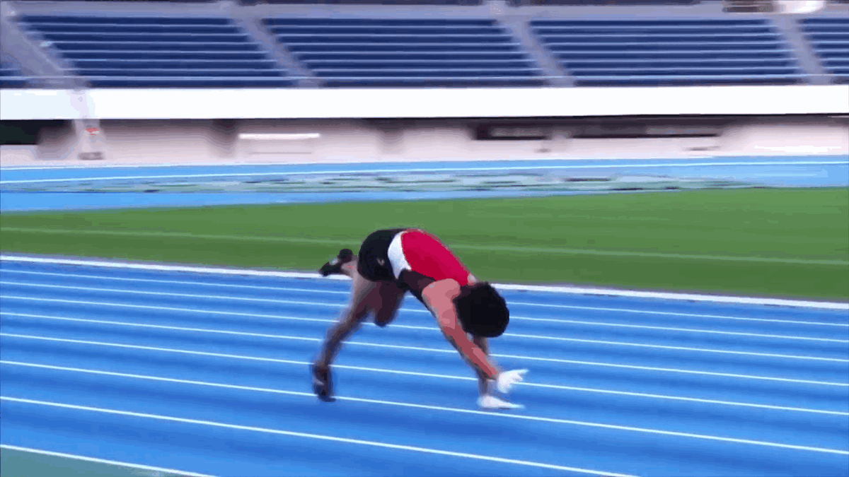 маугли 21 века