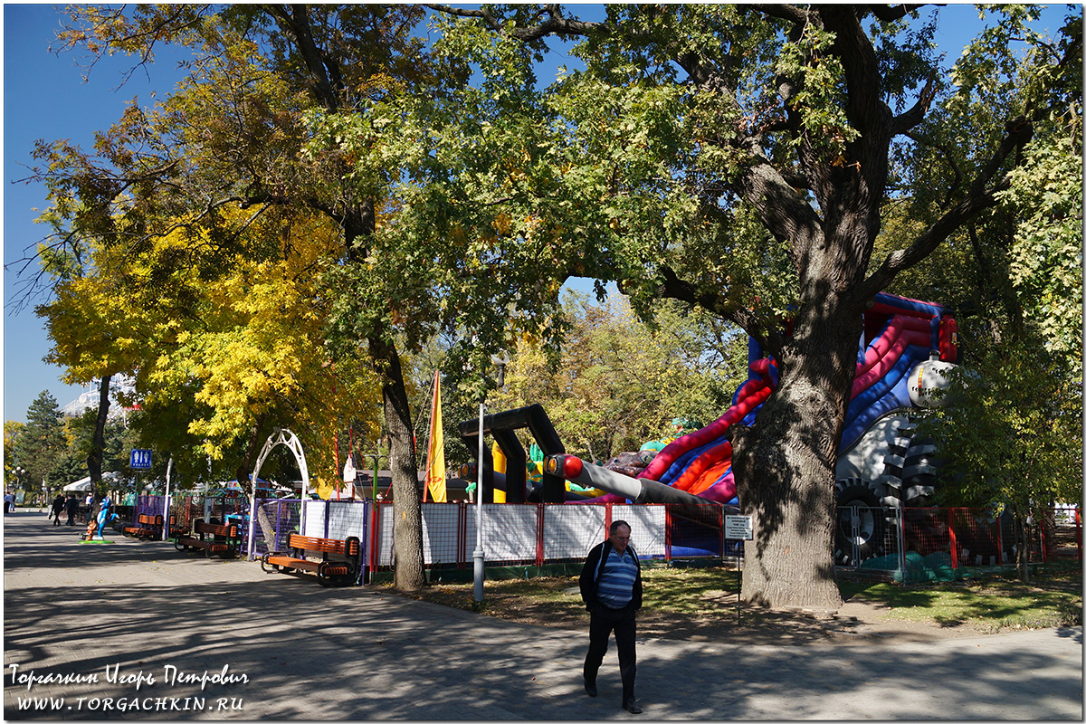 фото Игоря Торгачкина