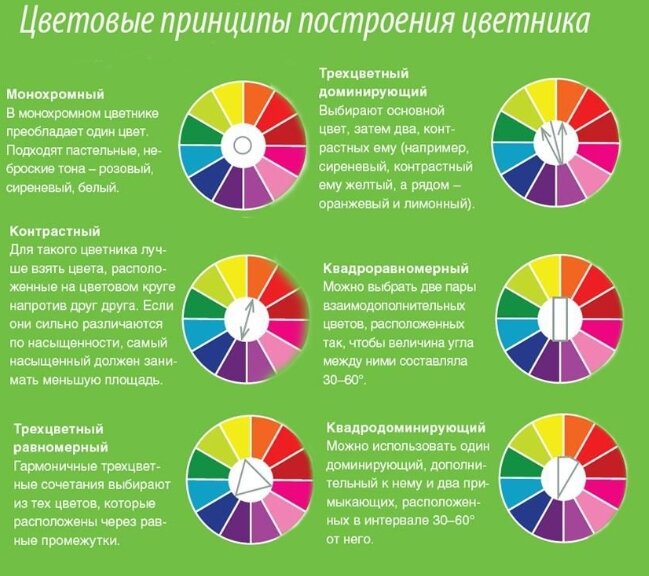 Использование цвета в ландшафтном дизайне: теплые и прохладные цвета - Вишневый сад Элит