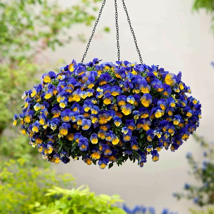 instagram.com/ideyasad