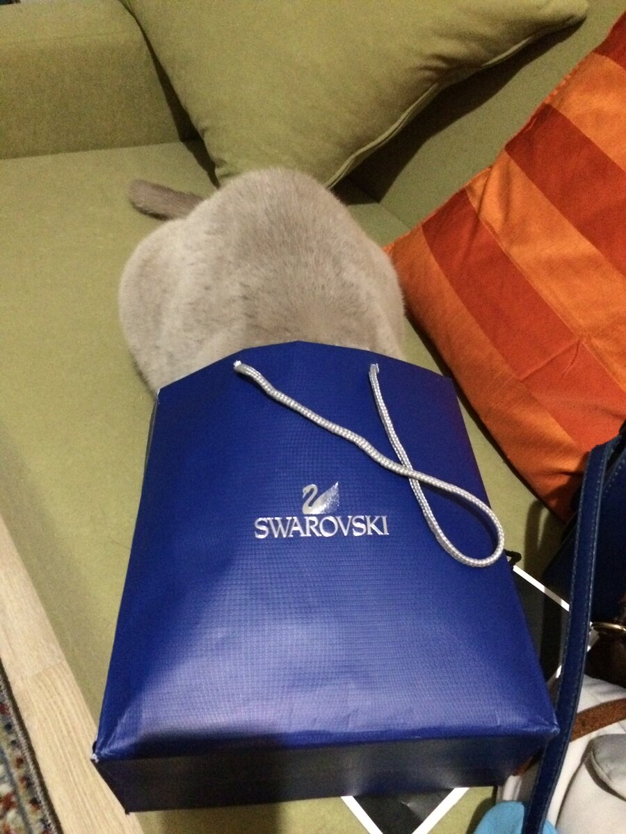 Фото личное