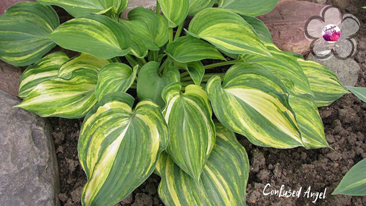 Подпишитесь на наш канал, чтобы не пропустить полезную информацию!