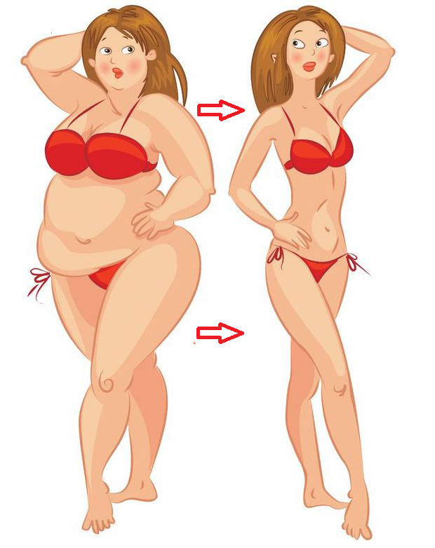 После толстого тонкий. Похудение иллюстрация. Толстый и худой. Стройная толстая женщина.