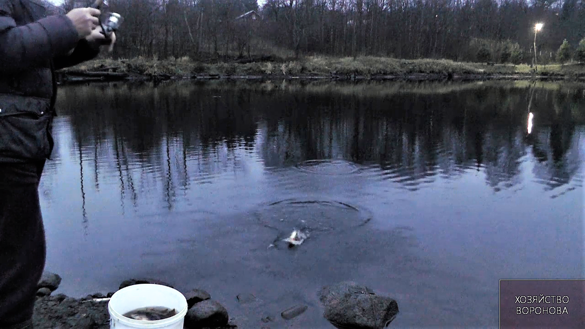 утренний клёв окуня в сумерках