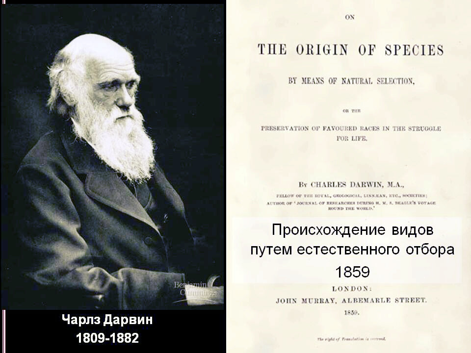 Презентация дарвин и происхождение видов 7 класс биология