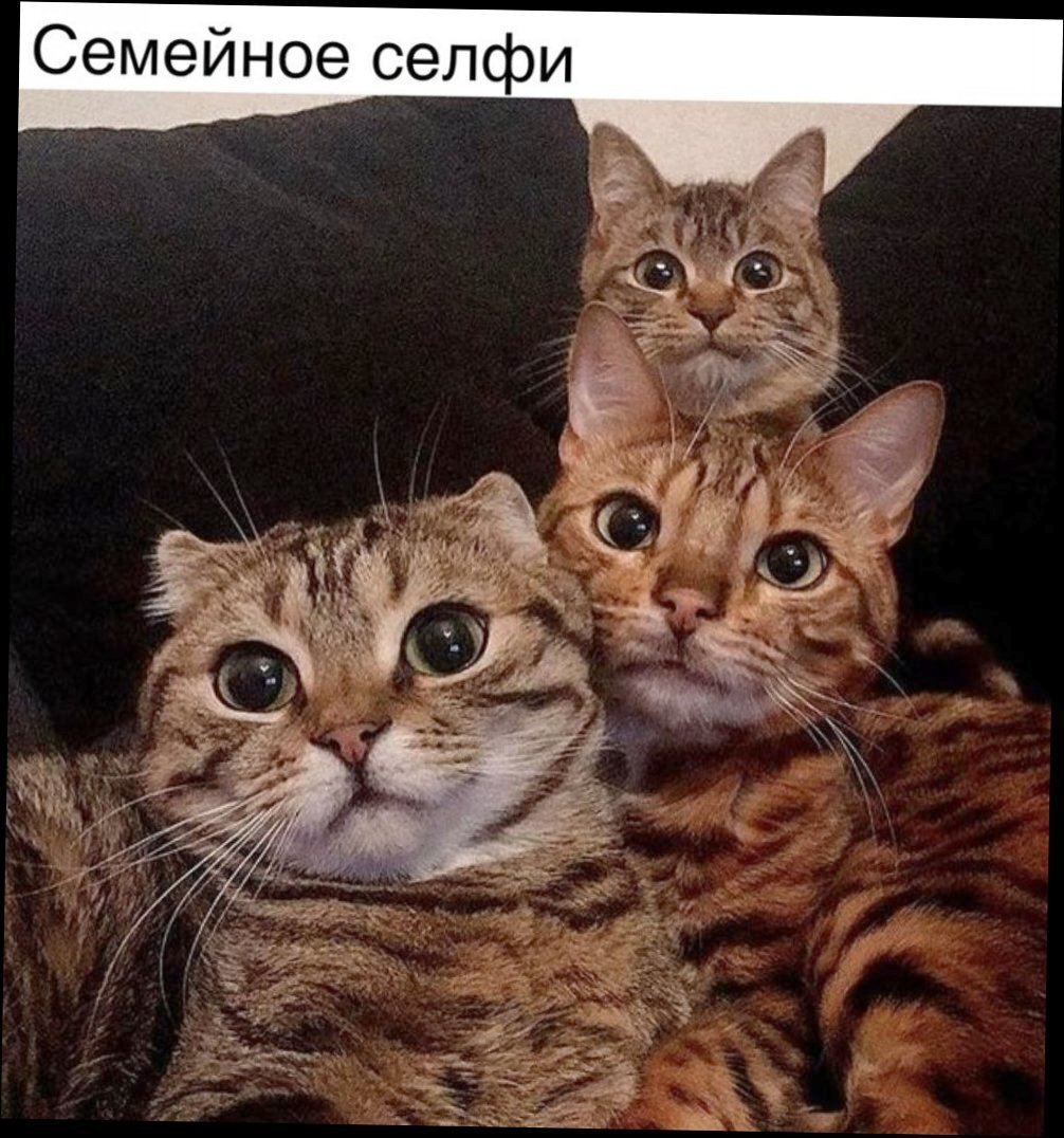 😊