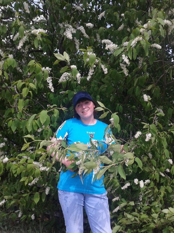 Наша любимая черемуха