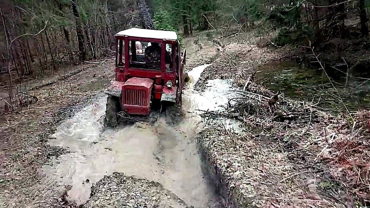 Фото из Яндекс Картинок