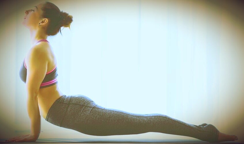 Собака, смотрящая мордой вверх. Не очень корректно конечно насчёт морды, да и насчёт собаки тоже не очень.