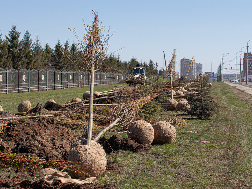 Фото: Город Казань KZN.RU