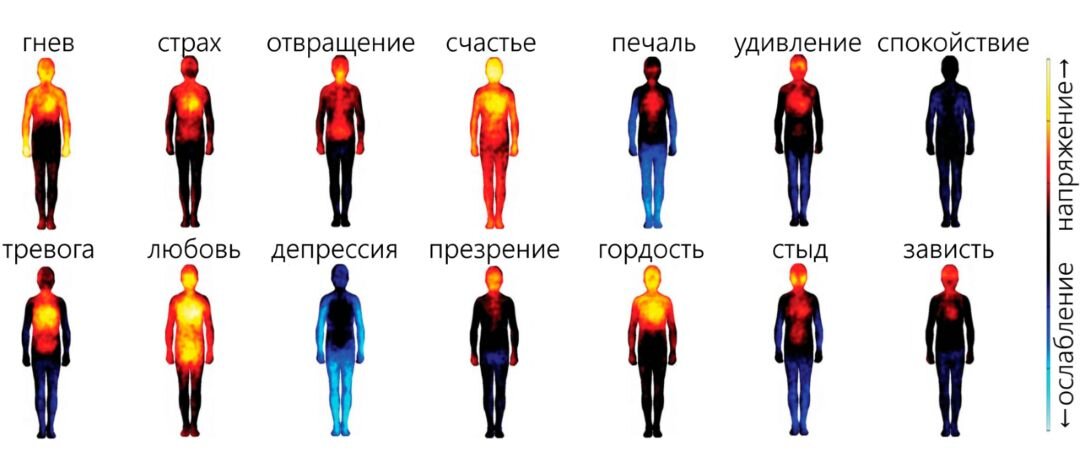 Эмоциональные состояния напрямую связаны с телесными ощущениями