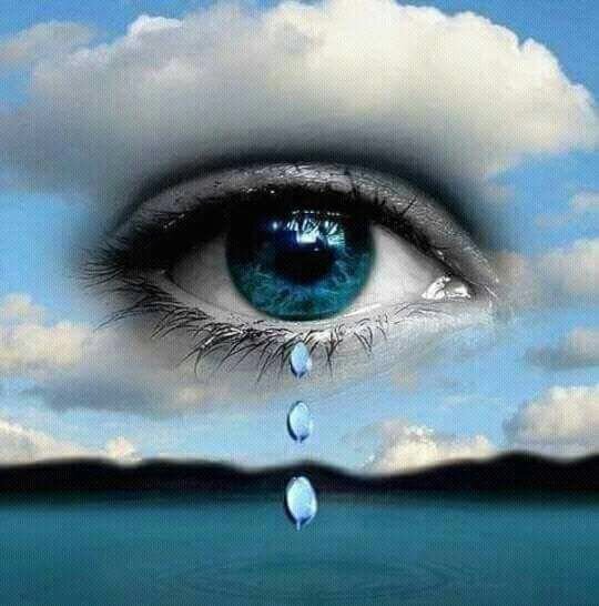 Изображение Яндекс. картинки