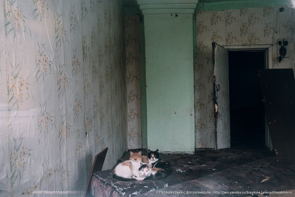 Заброшенные дома в деревнях и селах. Что у них внутри? 11 моих фотографий