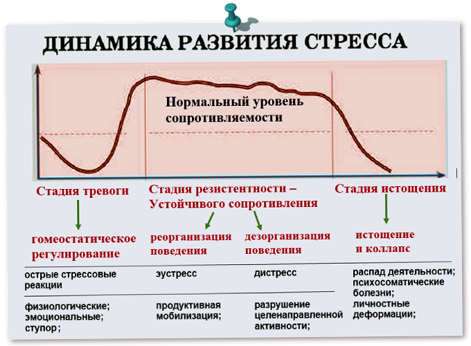 Нормально развивающиеся. Стадии стресса физиология. Схема развития стресса. Стадии и механизмы развития стресса. Стадии формирования стресса.