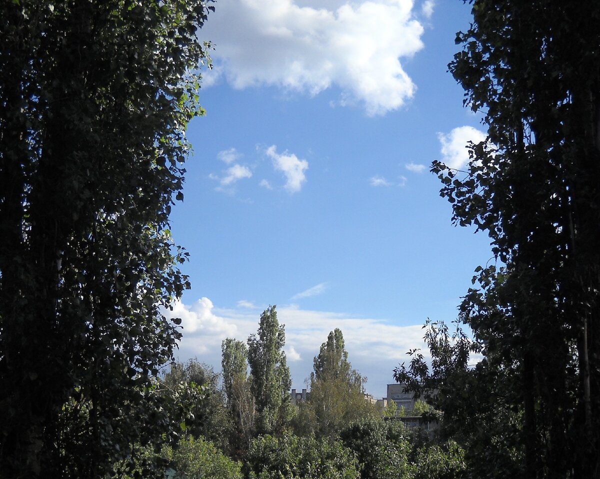 глядя вдаль, вижу море… 