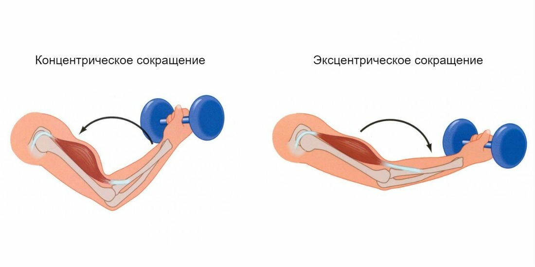 Концентрика и эксцентрика