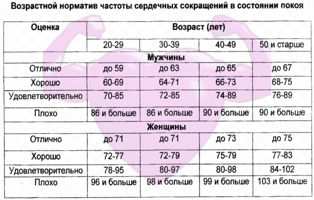 Проверяем сердце в домашних условиях: 2 простых теста | portalmeda.ru | Дзен